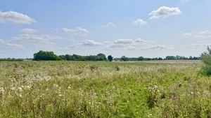 Photo 24- click for photo gallery